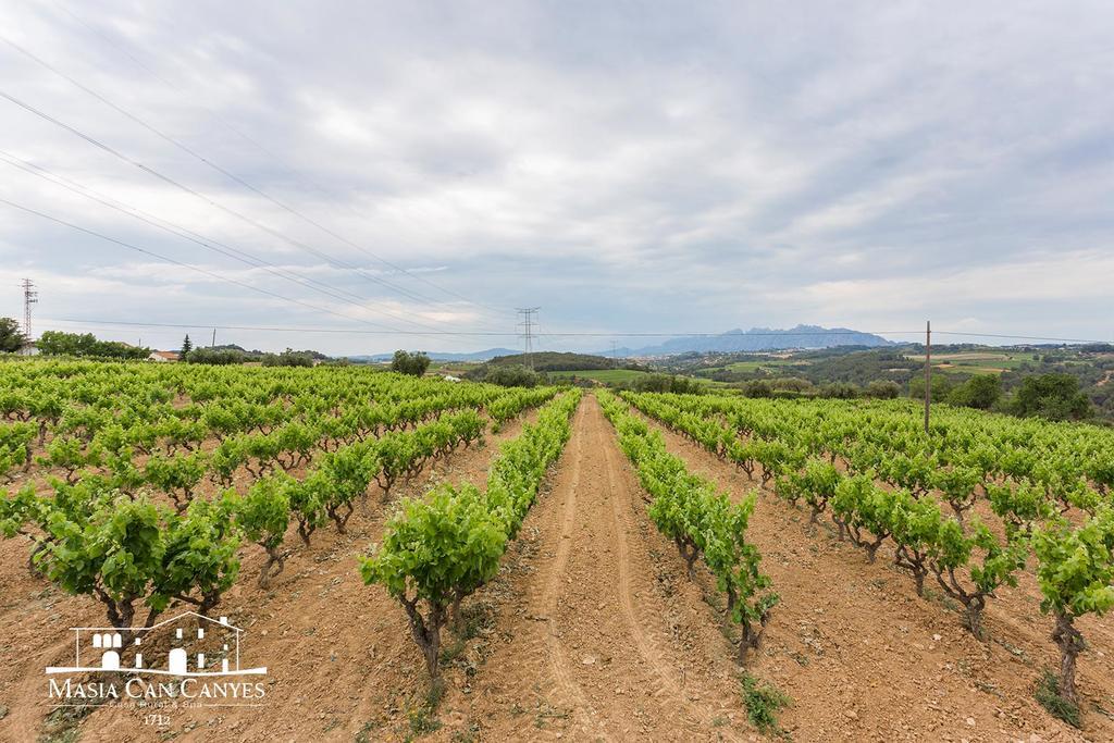 Masia Can Canyes & Spa San Lorenzo de Hortóns 외부 사진